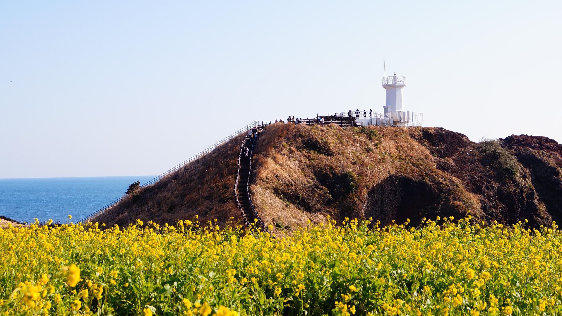 제주
